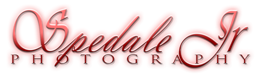 SPEDALE JR PHOTOGRAPHY NEW RED LOGO 2026